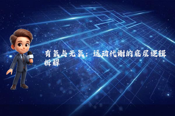 有氧与无氧：运动代谢的底层逻辑拆解